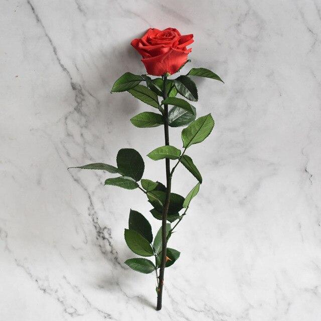Rose Éternelle </br>Cadeau Symbolique
