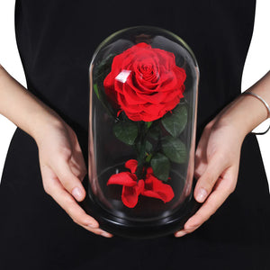 rose éternelle rouge sous cloche tenue par une femme